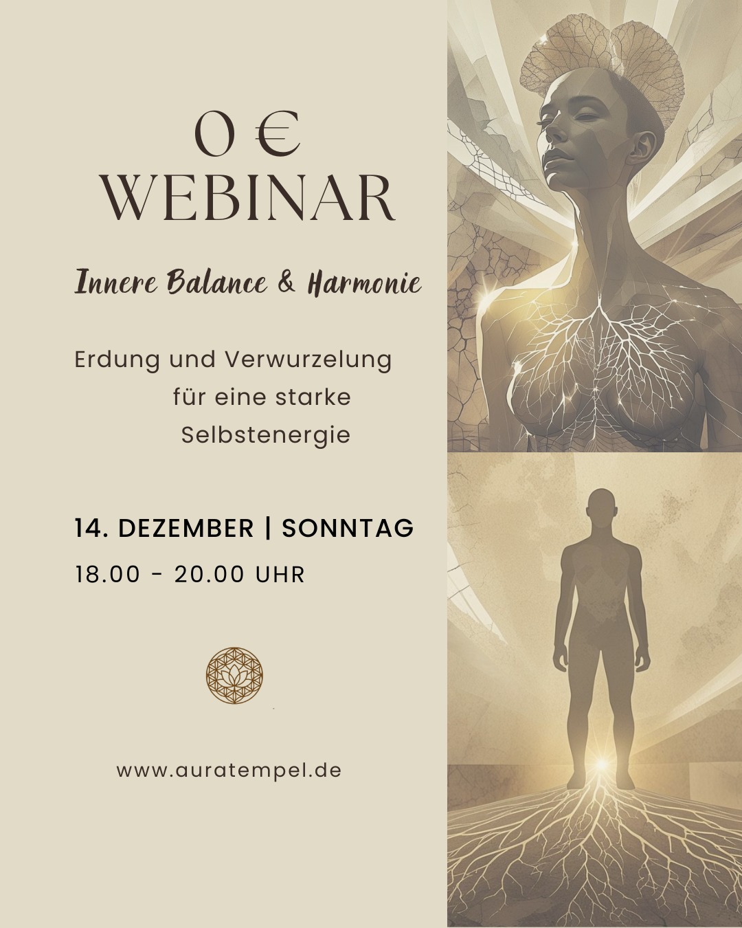 WhatsApp Image 2025 11 23 at 13.41.45